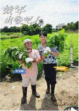 飘花影院在线 向往的生活 慢综艺